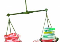 書(shū)價(jià)不敵豬肉價(jià)？鄭州網(wǎng)站建設（轉）