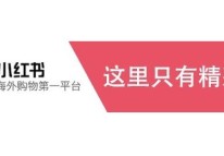 小紅書(shū)APP開(kāi)發(fā)運營(yíng)方案